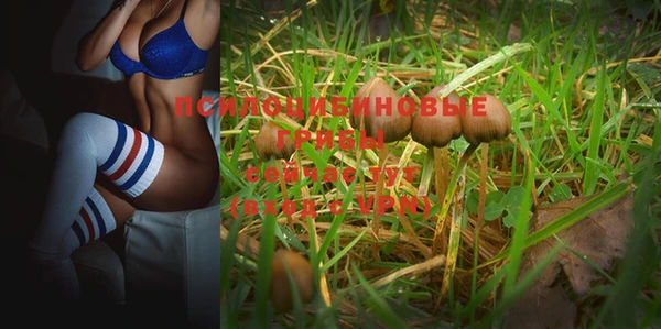 дмт Аркадак