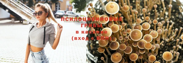 экстази Алексин